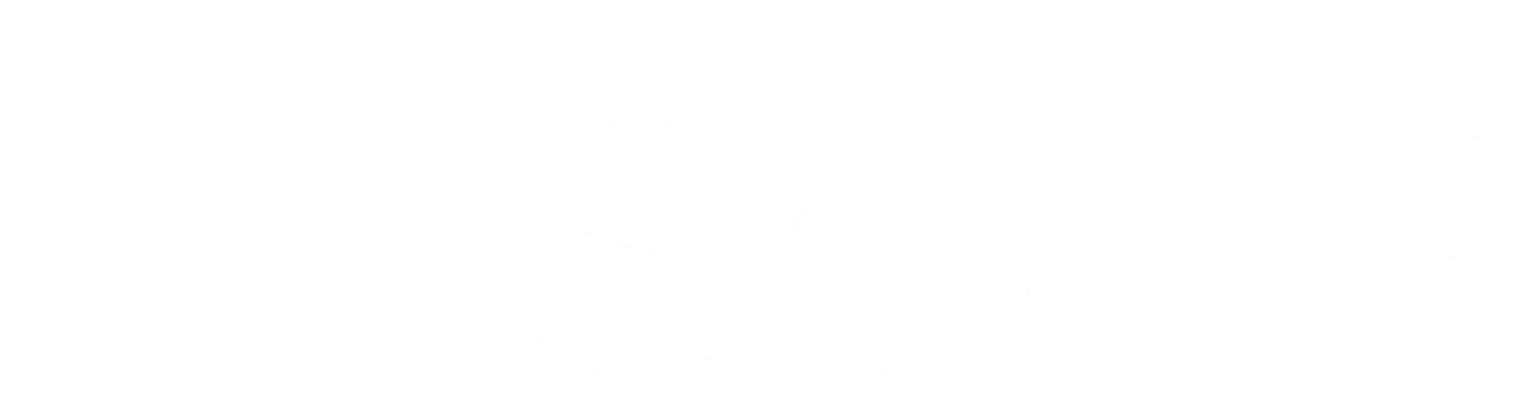Solis Logo White