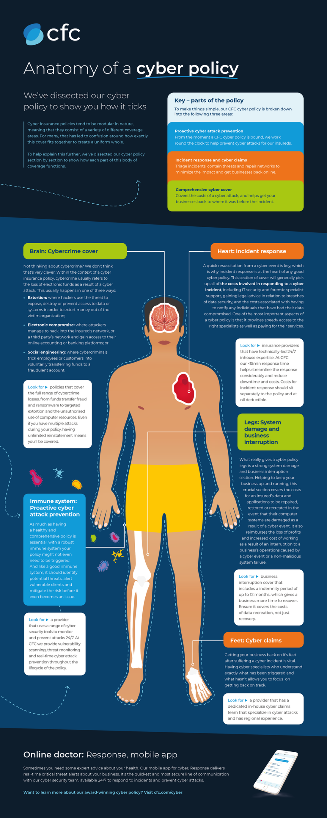 Anatomy of a cyber policy